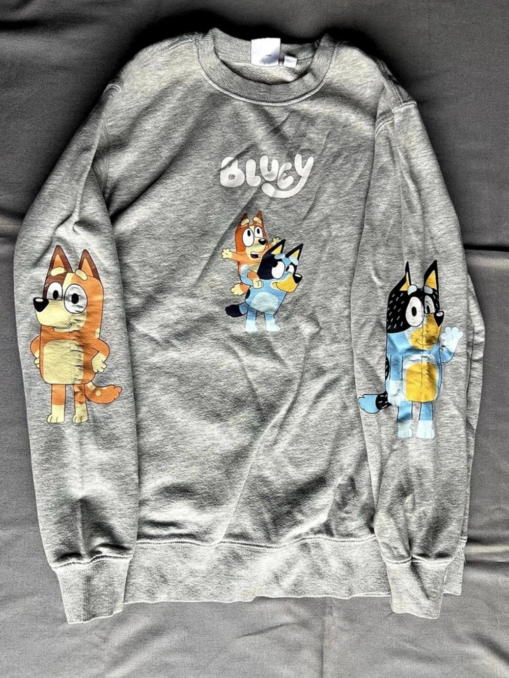 Bluey Character Heather Gray Crewneck Sweatshirt with Graphic Sleeves